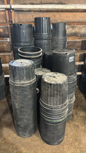 Assorted plant pots