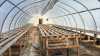High profile 60ft x 20 wide greenhouse - 3