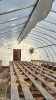 High profile 60ft x 20 wide greenhouse - 4