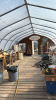 High profile 56 ft x 20 wide greenhouse - 4