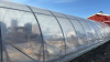 High profile 56 ft x 20 wide greenhouse - 5