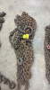 Chains, Clevus