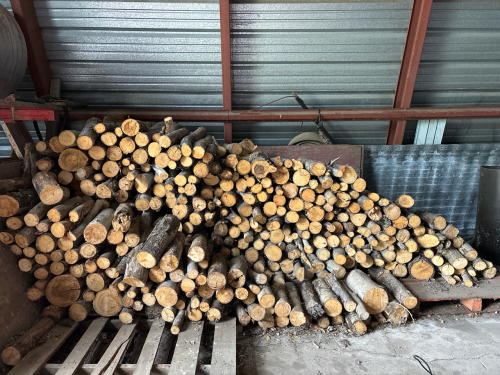 Pile of fire wood