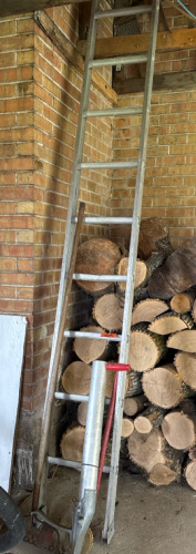 Garden tools and ladder