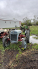 Ford 8N tractor - 2