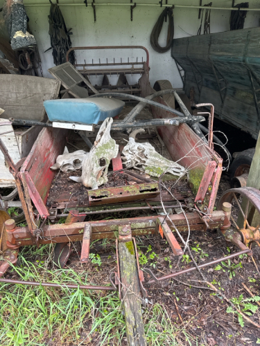 Horse drawn manure spreader