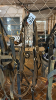 Leather halters