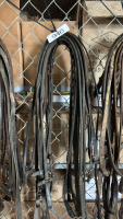 Assorted reins