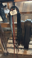 Reins, cinch
