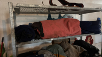 Assorted horse blankets