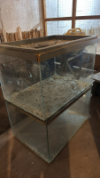 2- Animal displays