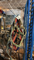Assorted halters