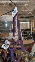 1- colt halter