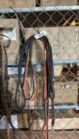 Assorted reins