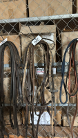 Assorted reins