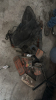 Chainsaws and accessories