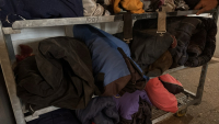 Horse blankets