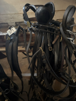 Single light horse harness