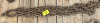 1 chain