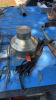 Milk strainer, tie downs