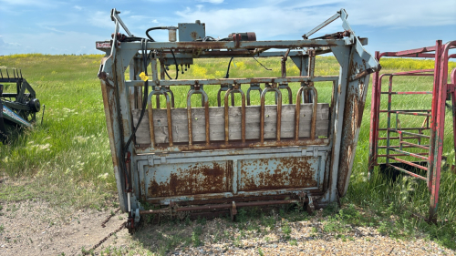 Bonsak hydraulic squeeze shoot