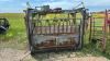 Bonsak hydraulic squeeze shoot