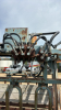 Bonsak hydraulic squeeze shoot - 4