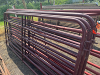2-10&rsquo; gates