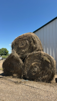 50 bales of grass hay
