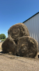 50 bales of grass hay