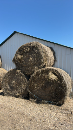 50 bales of grass hay