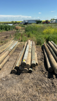 10- 10&rsquo;x7&rdquo; posts
