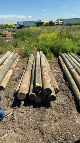 11- 10&rsquo;x7&rdquo; posts