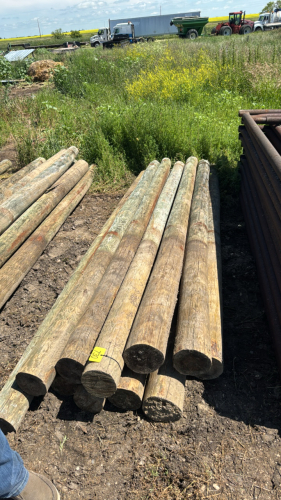 11- 10&rsquo;x7&rdquo; posts