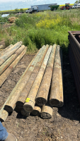 11- 10&rsquo;x7&rdquo; posts