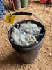 Pail of New carriage bolts