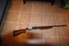 Mossberg 12 guage pump shotgun