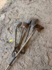 Assortment of shovels