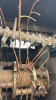 Lindic soil shredder model CL20 - 4