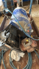 7 hp 60gal air compressor - 2