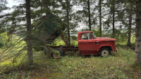 Fargo 300 with wooden box and hoist (no TOD)