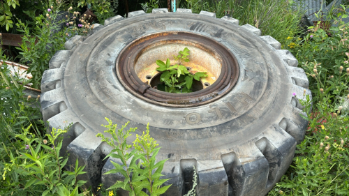 23.5R25 Hilo tire