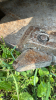Pro Mac 52&rdquo; brush cutter 200 series - 3