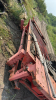 Finley hydraulic vibrating grizzly - 3