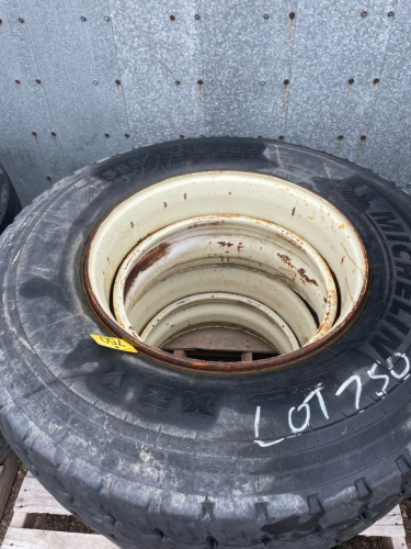 2- 385/65R22.5 on Dayton steel rims