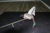 Mallard duck decoy on metal stand - 3