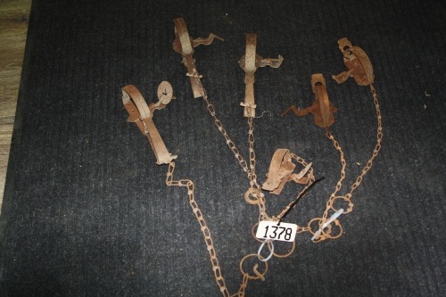 6 assorted small traps