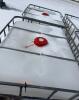 2- 1000 litre totes (rinsed)