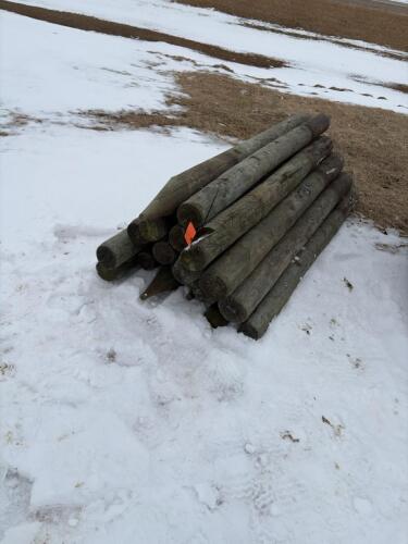 20 fence posts
