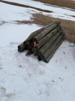 20 fence posts